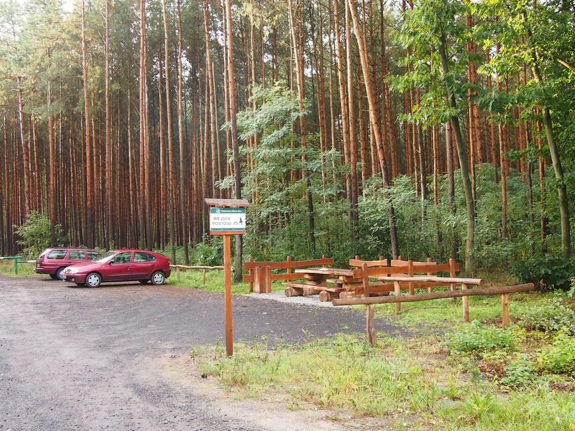 Zwłoki na parkingu przy drodze krajowej. Prokuratura bada sprawę Zwłoki na parkingu przy drodze krajowej. Prokuratura bada sprawę