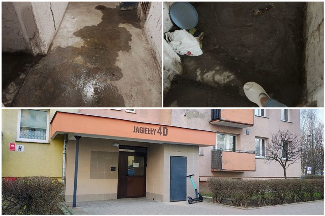 Życie w 10-piętrowcu: grzyb na ścianie i wysokie koszty