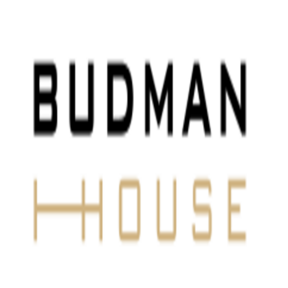 Budman house