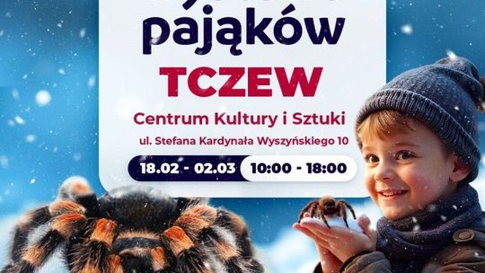 ZOBACZ ŚMIERCIONOŚNE, LEGENDARNE PAJĄKI na wystawie Centrum Kultury i Sztuki