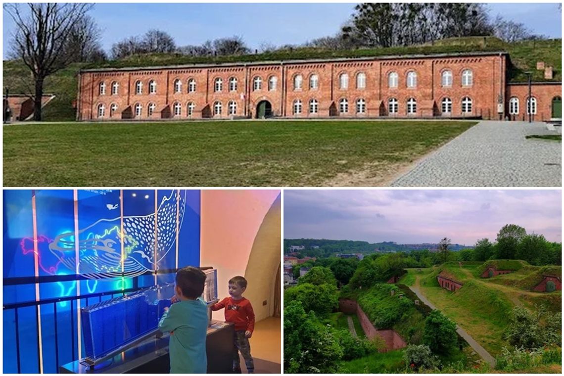 Wakacje pełne odkryć  – centrum nauki Hevelianum zaprasza na Górę Gradową i do Domu Zdrojowego w Brzeźnie!