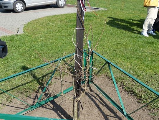 Uczcili pamięć ofiar katastrofy smoleńskiej