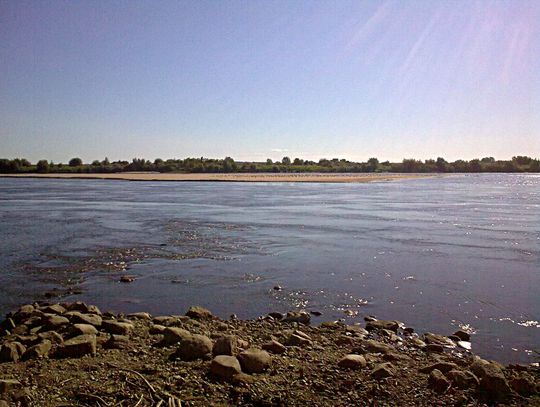 Wyspa na Wiśle na odcinku Gniew - Opalenie