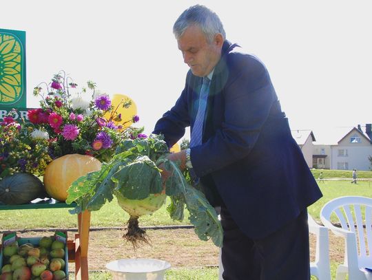   Dożynki – święto plonów Tczewa. Ogromne dynie, kalarepy i pory