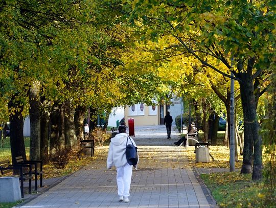 Kolory jesieni w Tczewie w listopadzie 2023